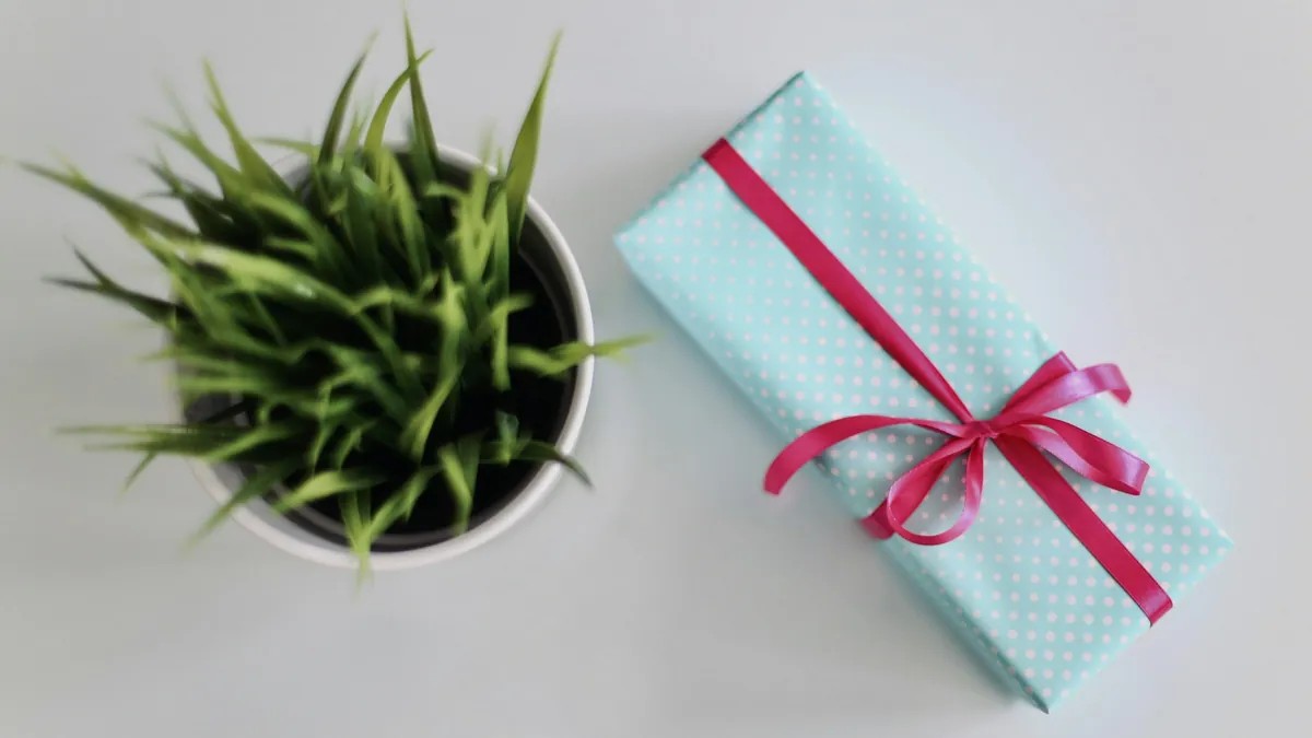 Un regalo envuelto con cinta junto a una planta en maceta